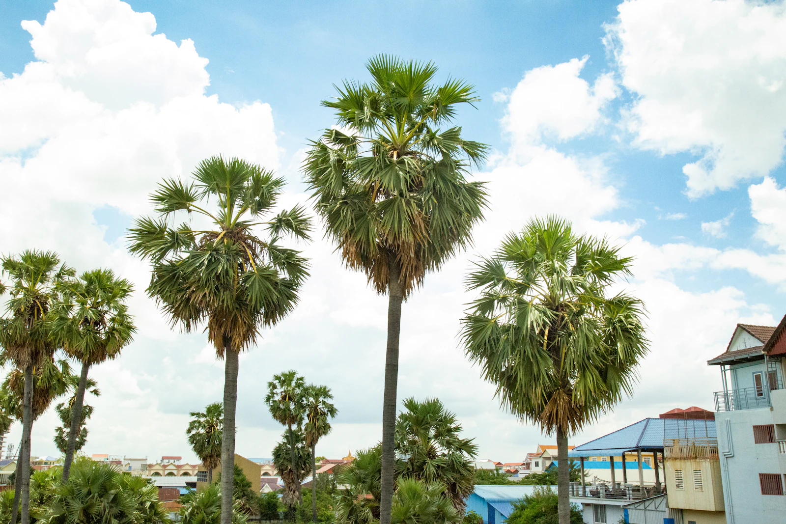 The Ritz-Carlton, Haikou on Tropical Hainan Island