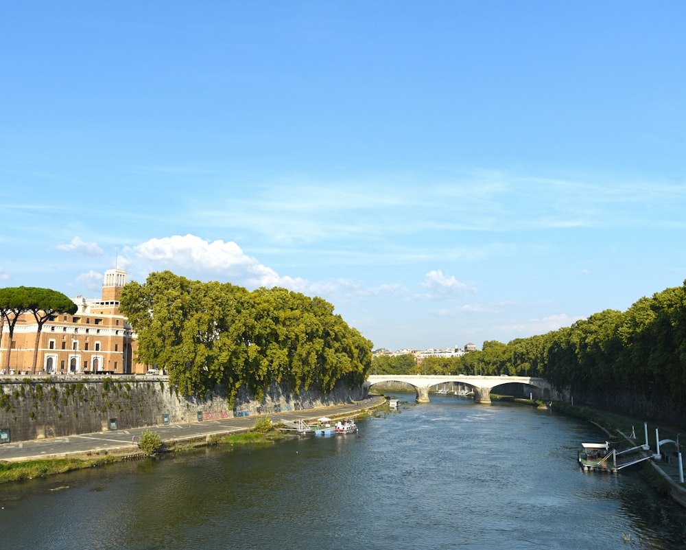river between green trees and buildings under blue sky during daytime