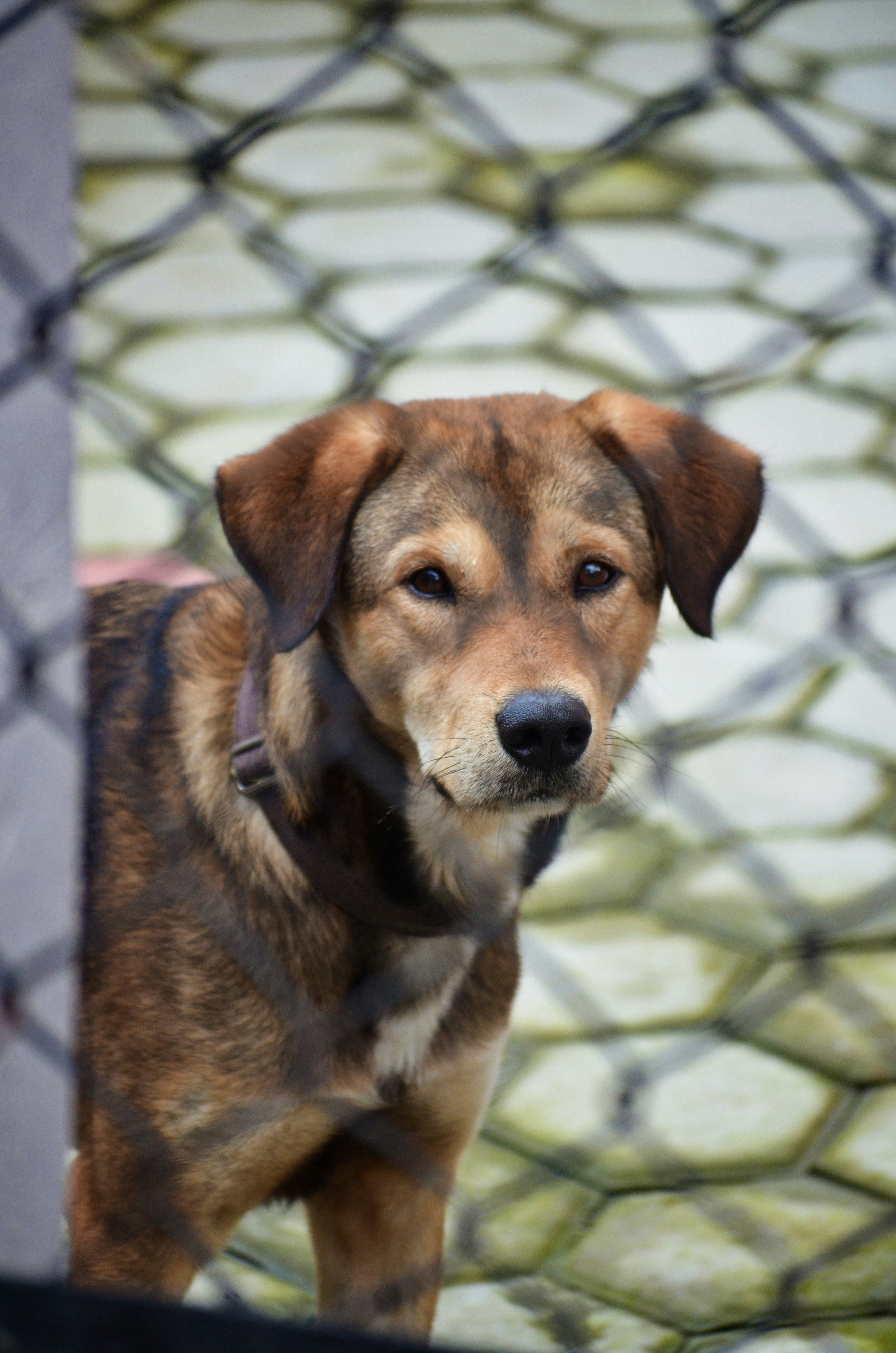 Photo by sayuzacharya