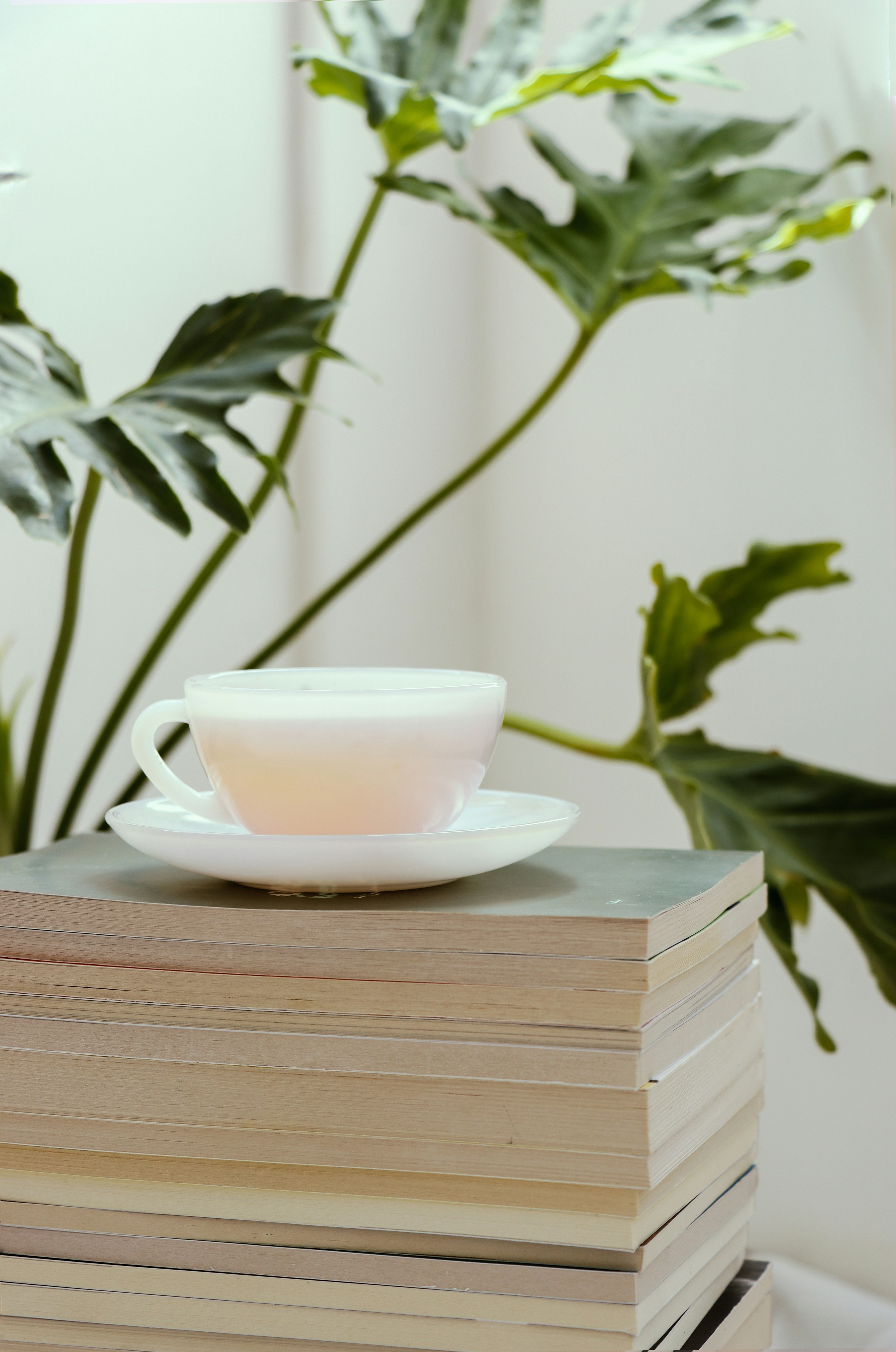 white ceramic teacup on saucer