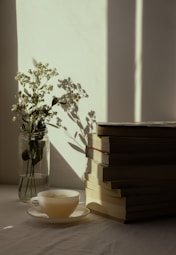 Ambiente tranquilo associado à leitura e à reflexão pessoal.