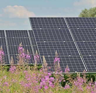 black solar panels on purple flower field during daytime