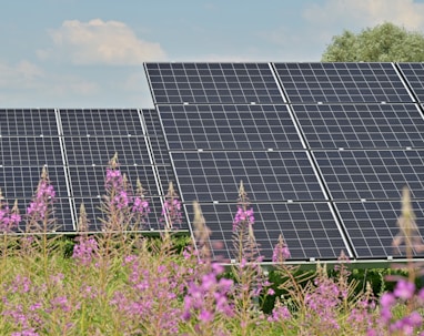 black solar panels on purple flower field during daytime