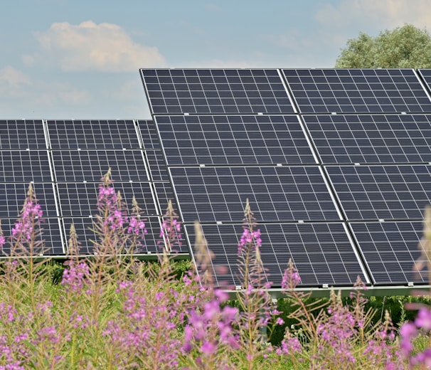 black solar panels on purple flower field during daytime