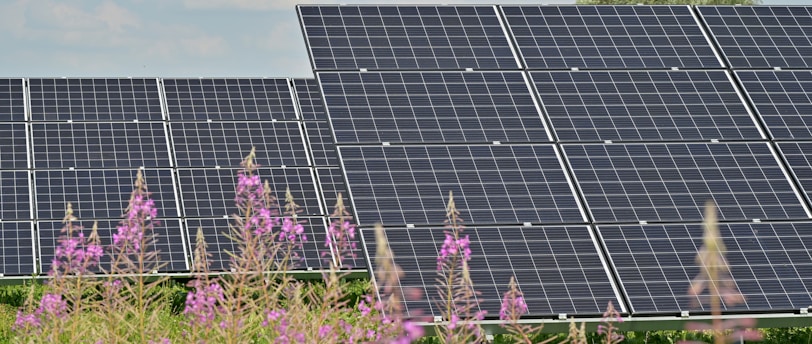 black solar panels on purple flower field during daytime