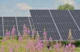 black solar panels on purple flower field during daytime