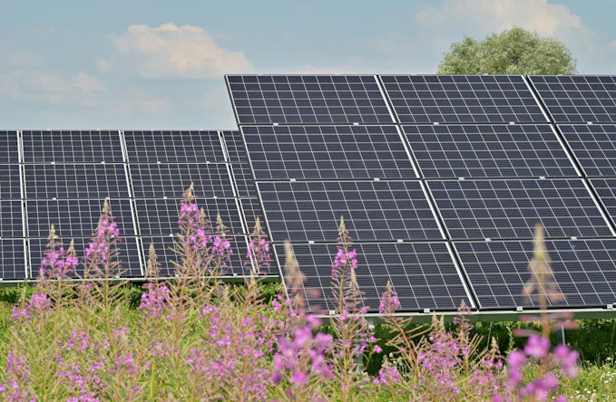black solar panels on purple flower field during daytime