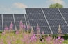 black solar panels on purple flower field during daytime