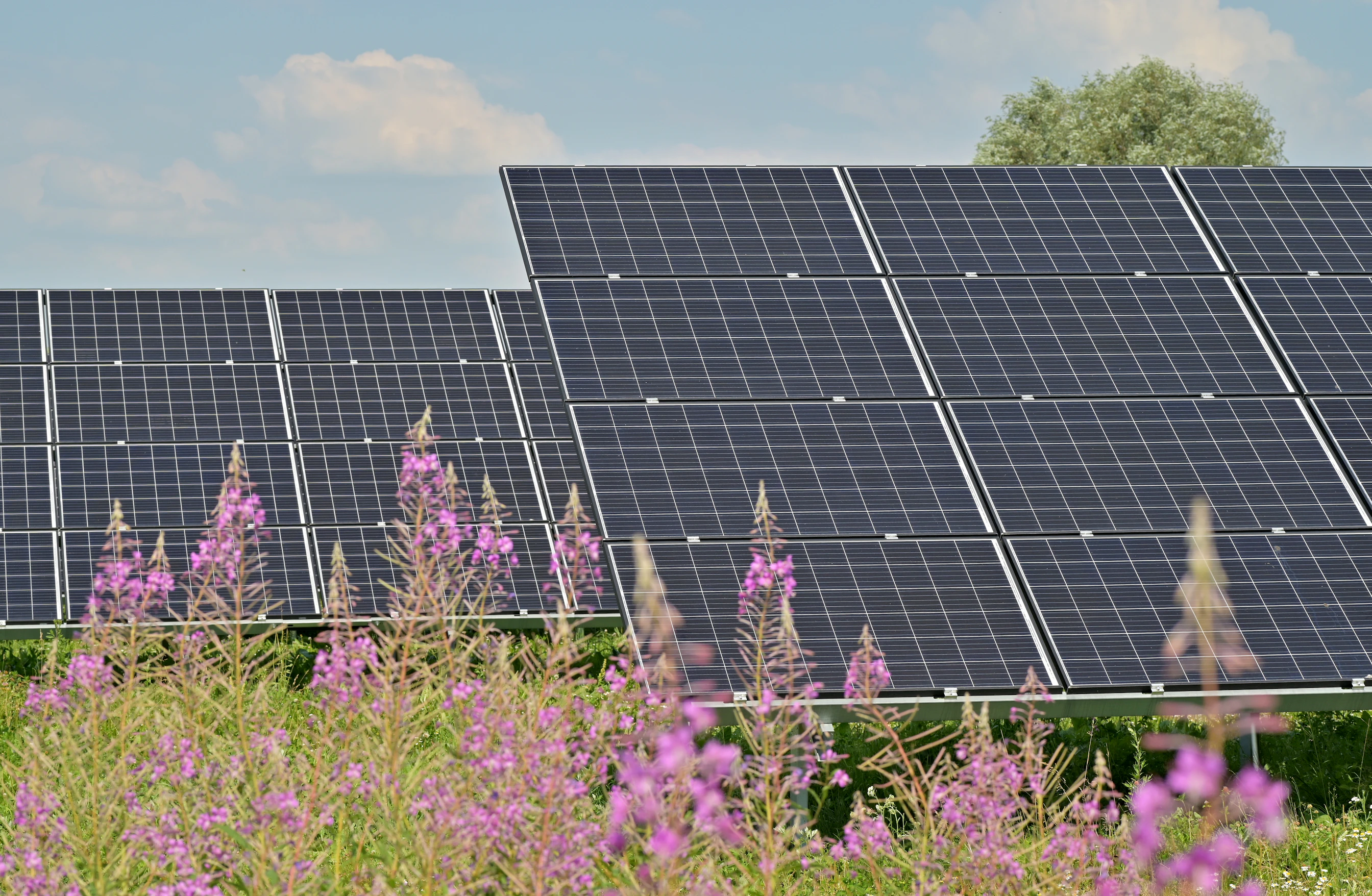 l'énergie solaire