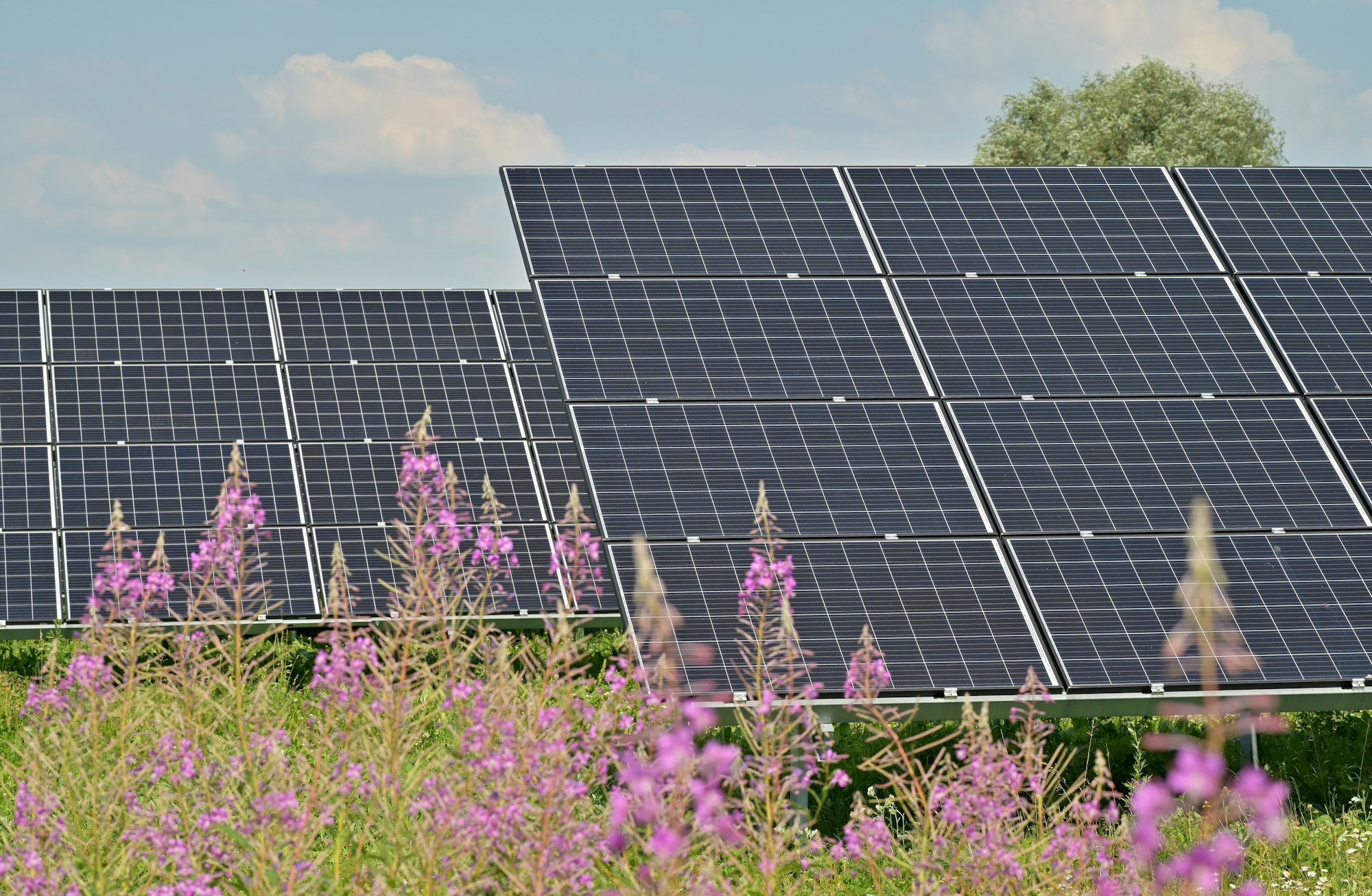 Gewijzigde algemene bijeenkomst, nu met lezing over Natuur en Zonneparken