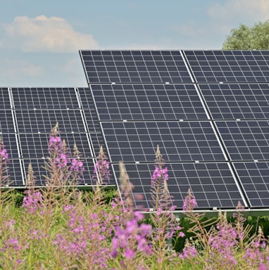 black solar panels on purple flower field during daytime