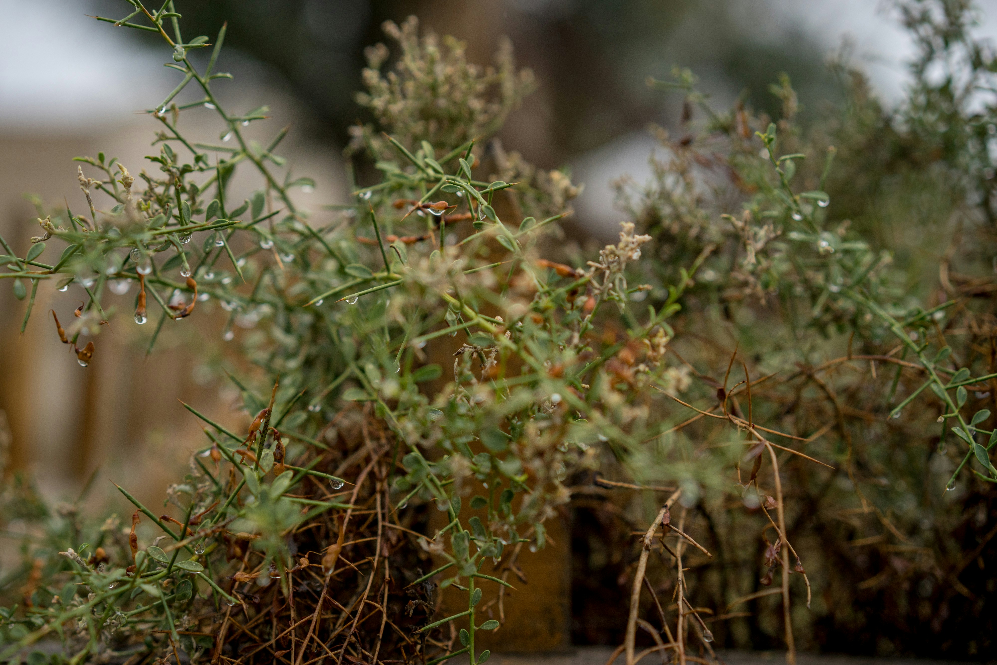 Photo by lbglobalmedia