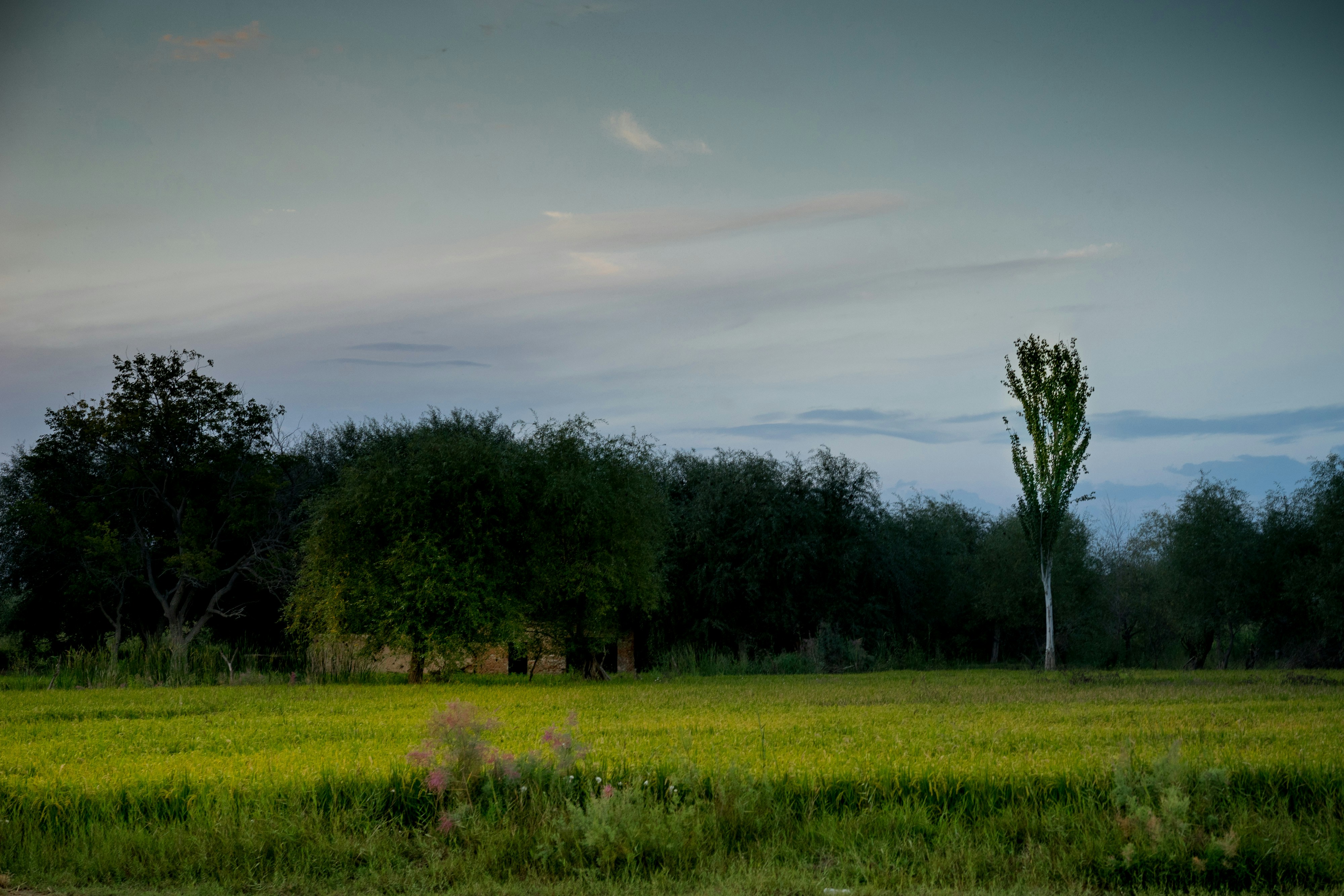 Photo by lbglobalmedia