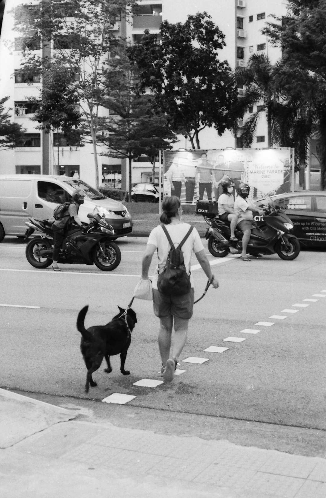 grayscale photo of people walking on pedestrian lane with dog