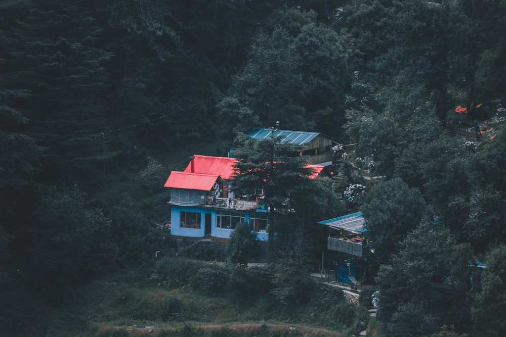blue and red house surrounded by trees