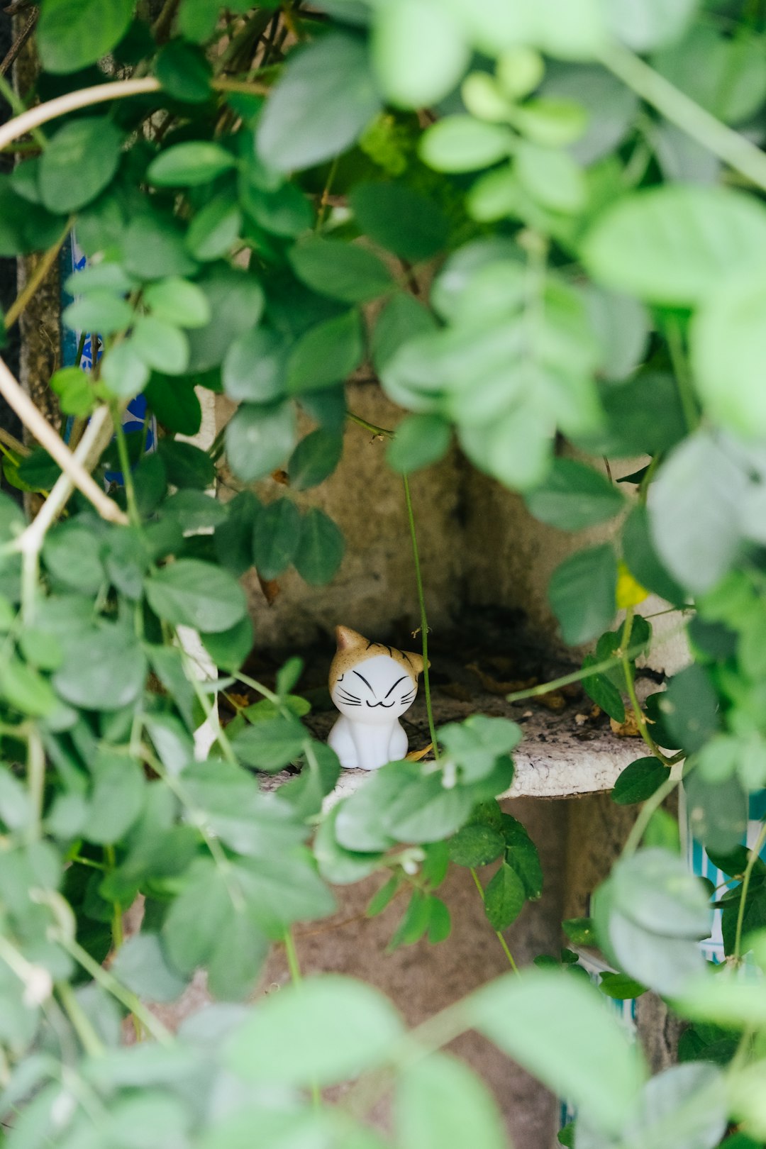 white and brown bird on green plant