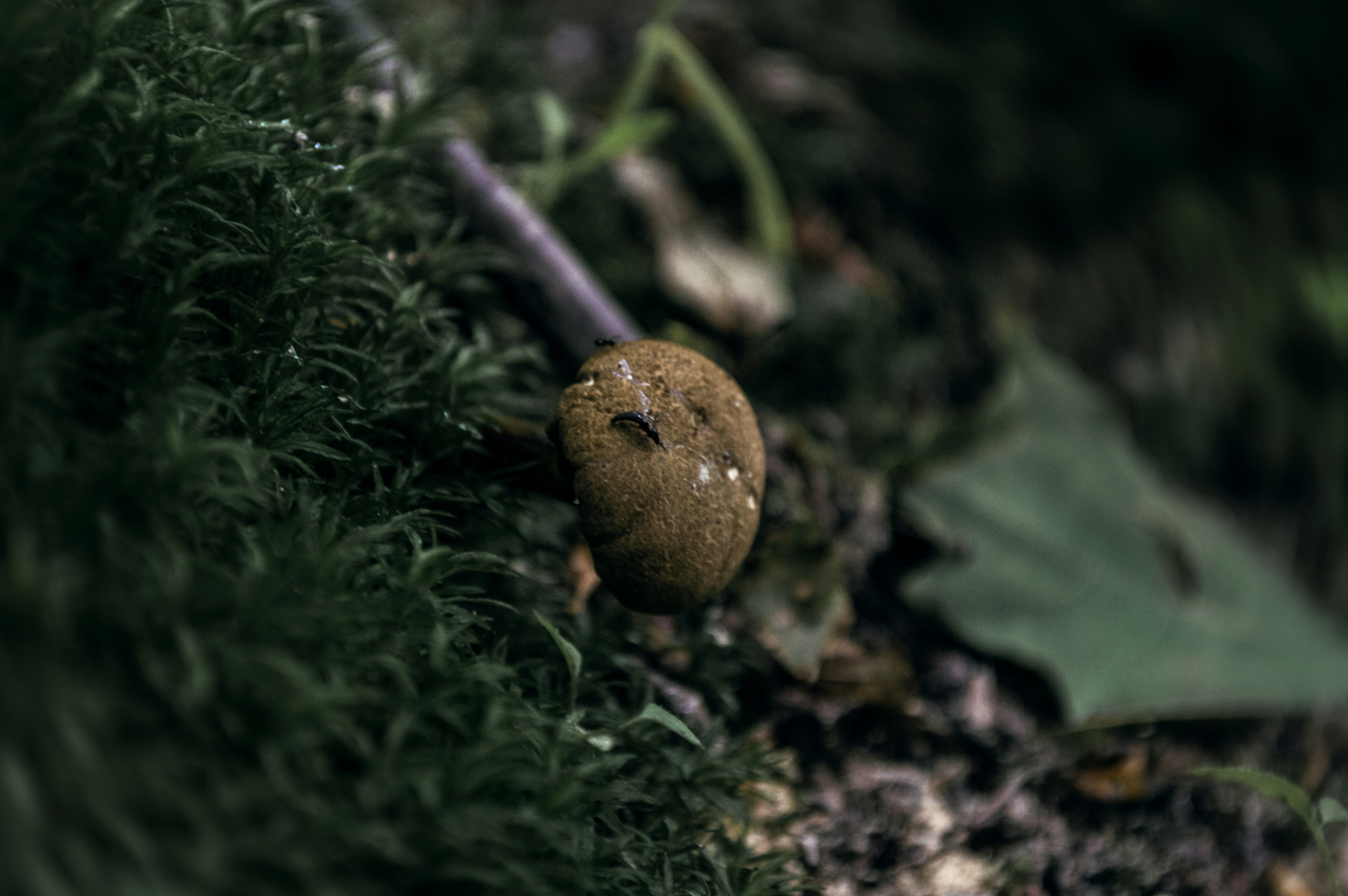 photo-1626257206879-20350209f8bf?ixid=M3wxMjA3fDB8MXxzZWFyY2h8MjB8fHRydWZmZSUyMG5vaXJlJTIwZCVDMyVBOXQlQzMlQTl8ZW58MHx8fHwxNzQ3NDc3Mzg3fDA\u0026ixlib=rb-4.1.0