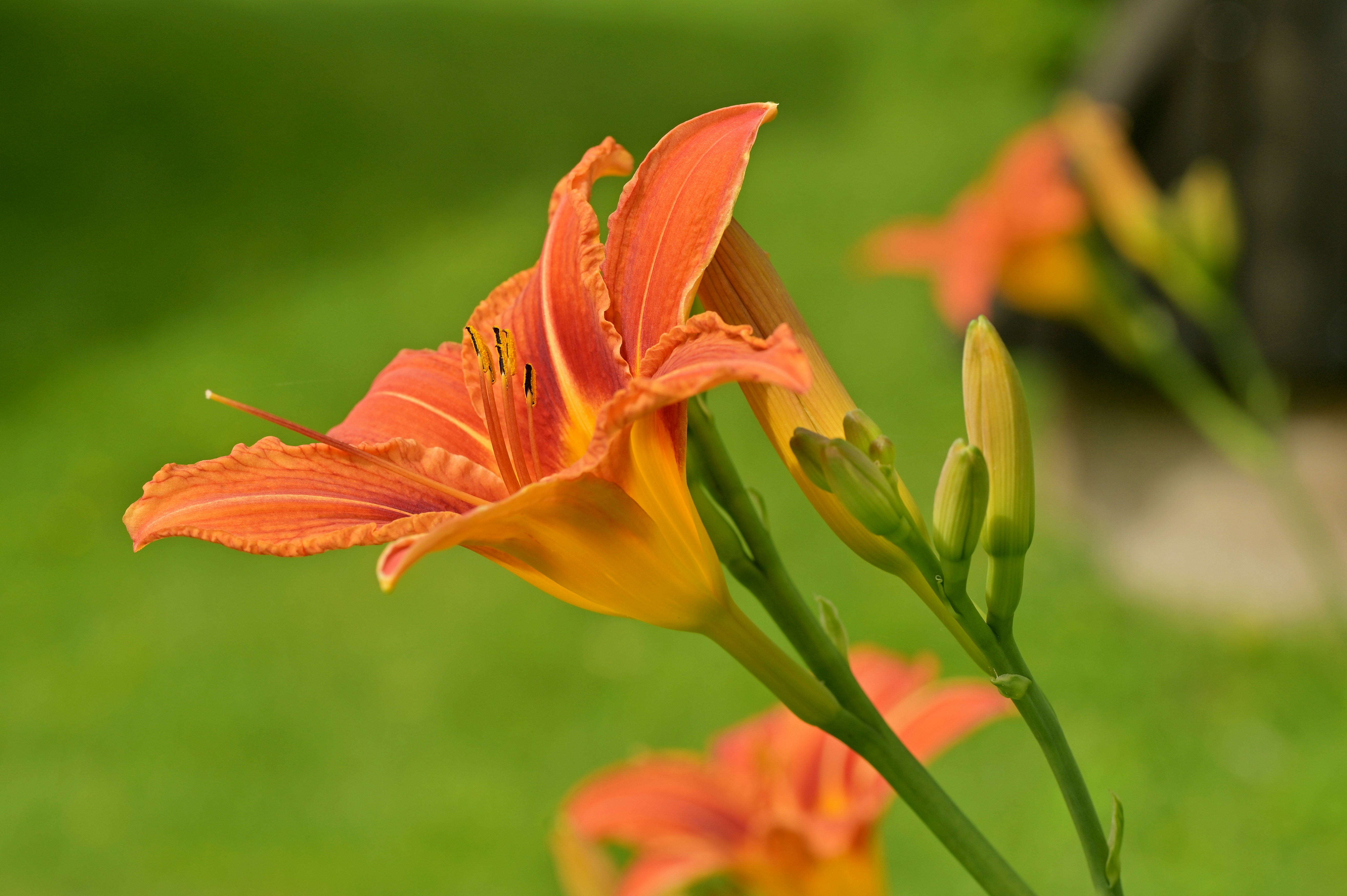 Photo by johnmcclane