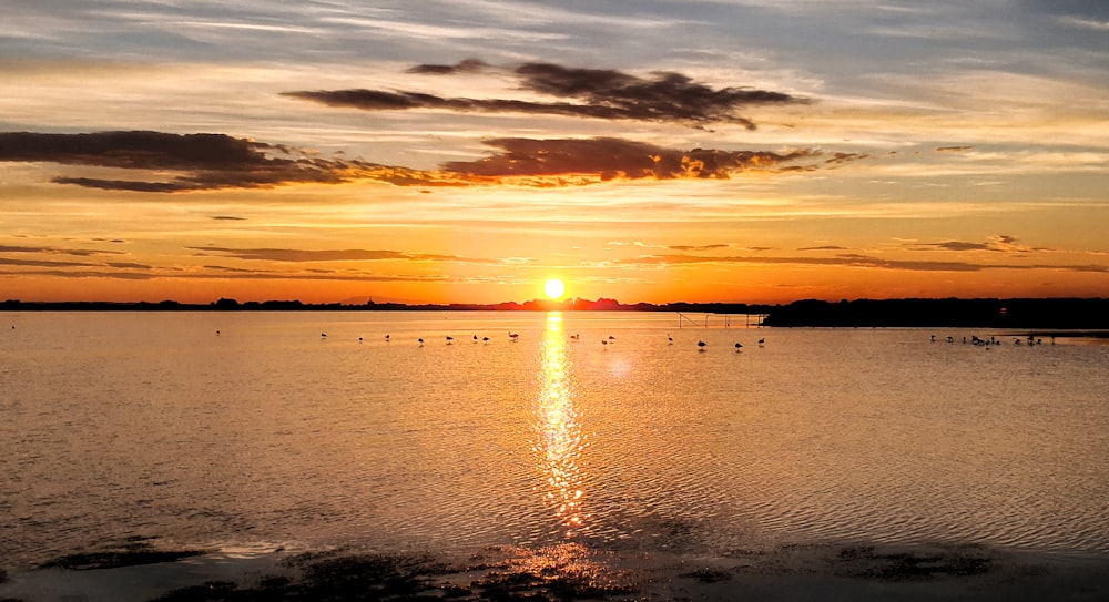 body of water during sunset