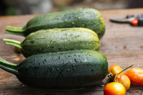 Gevulde courgette met tomatensaus — receptfoto