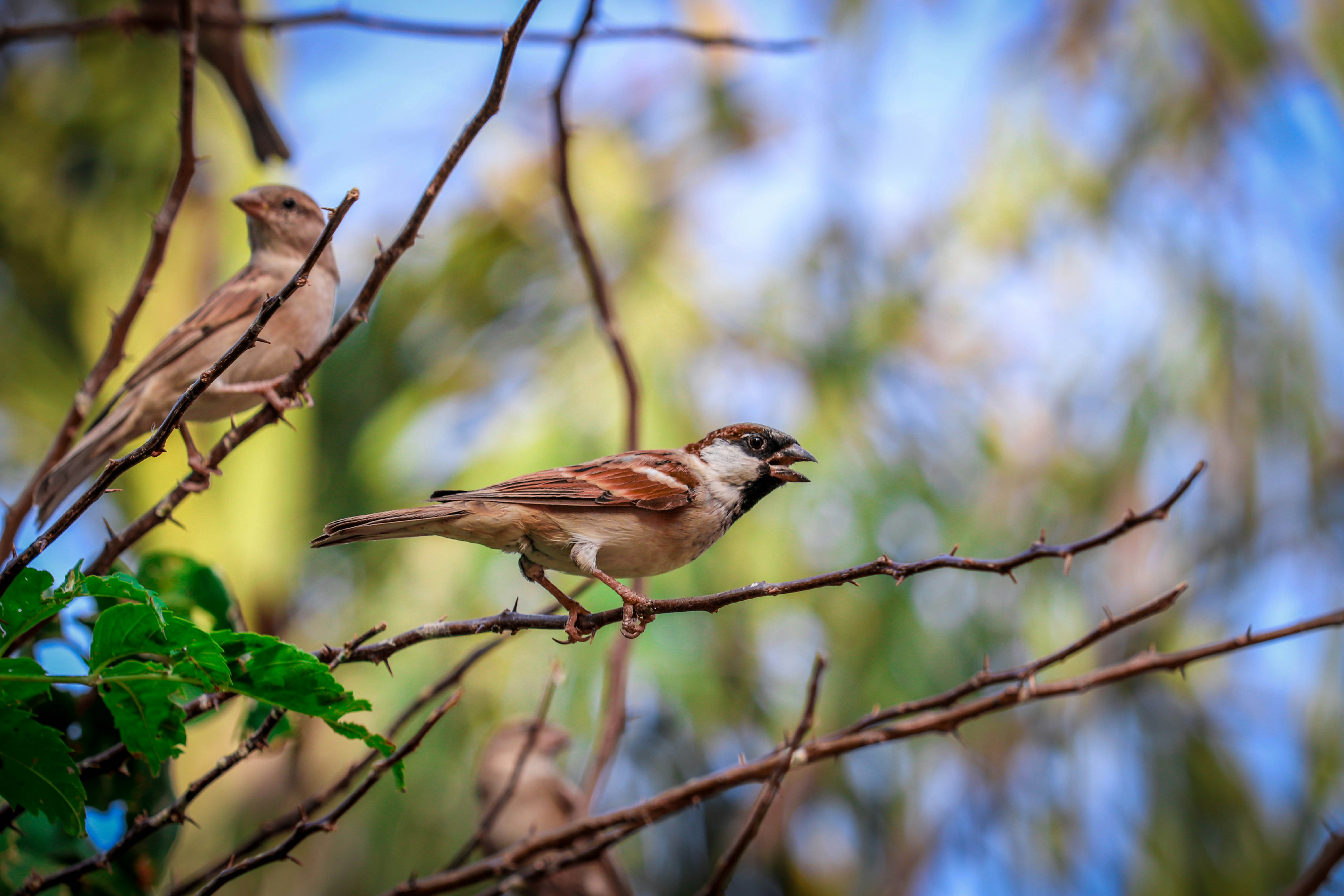 Photo by my_photos_dairies