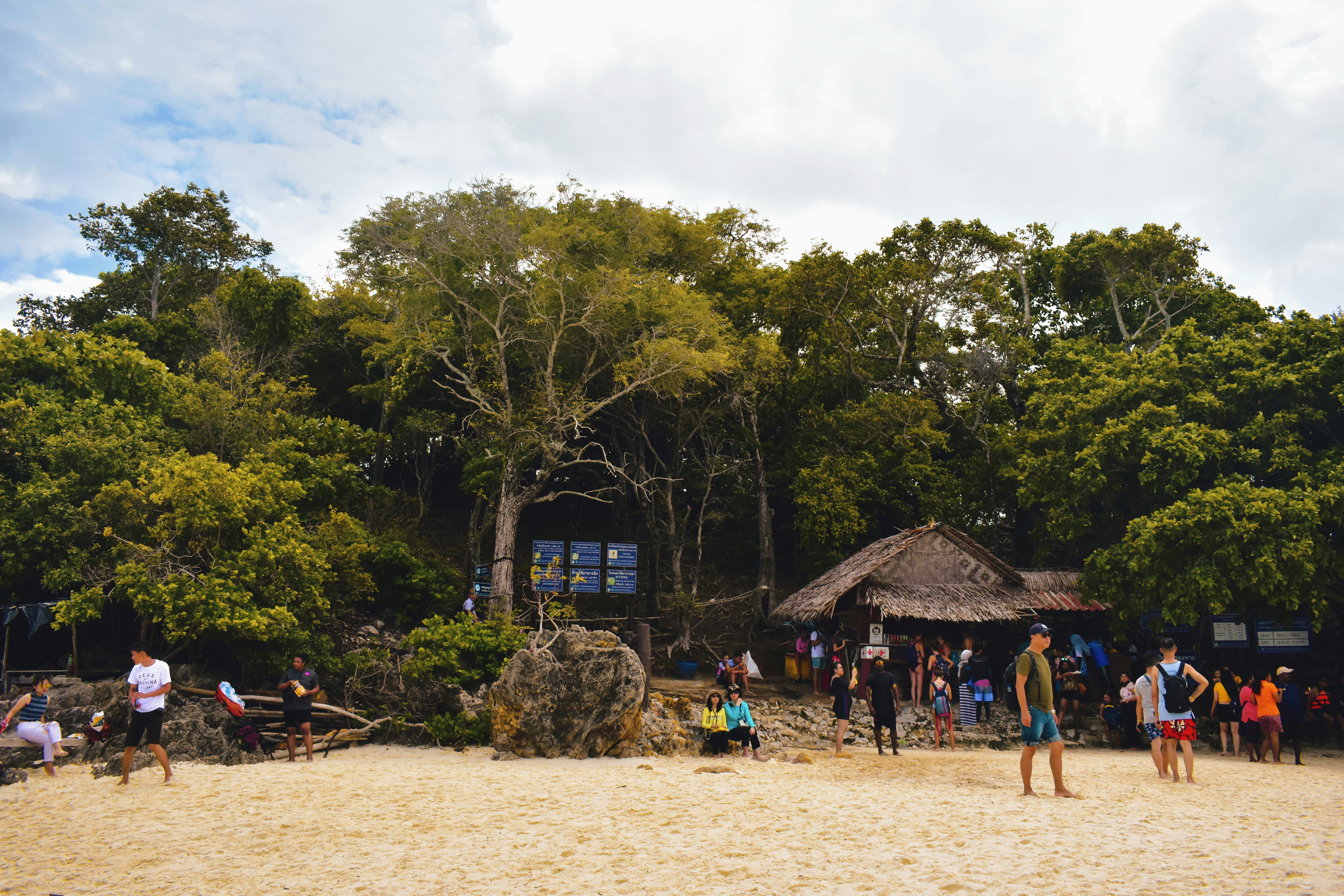 people on beach during daytime