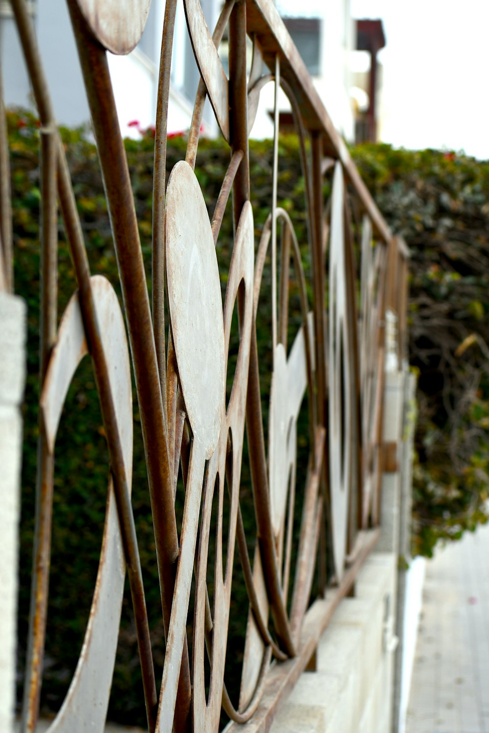 brown wooden fence near green trees during daytime