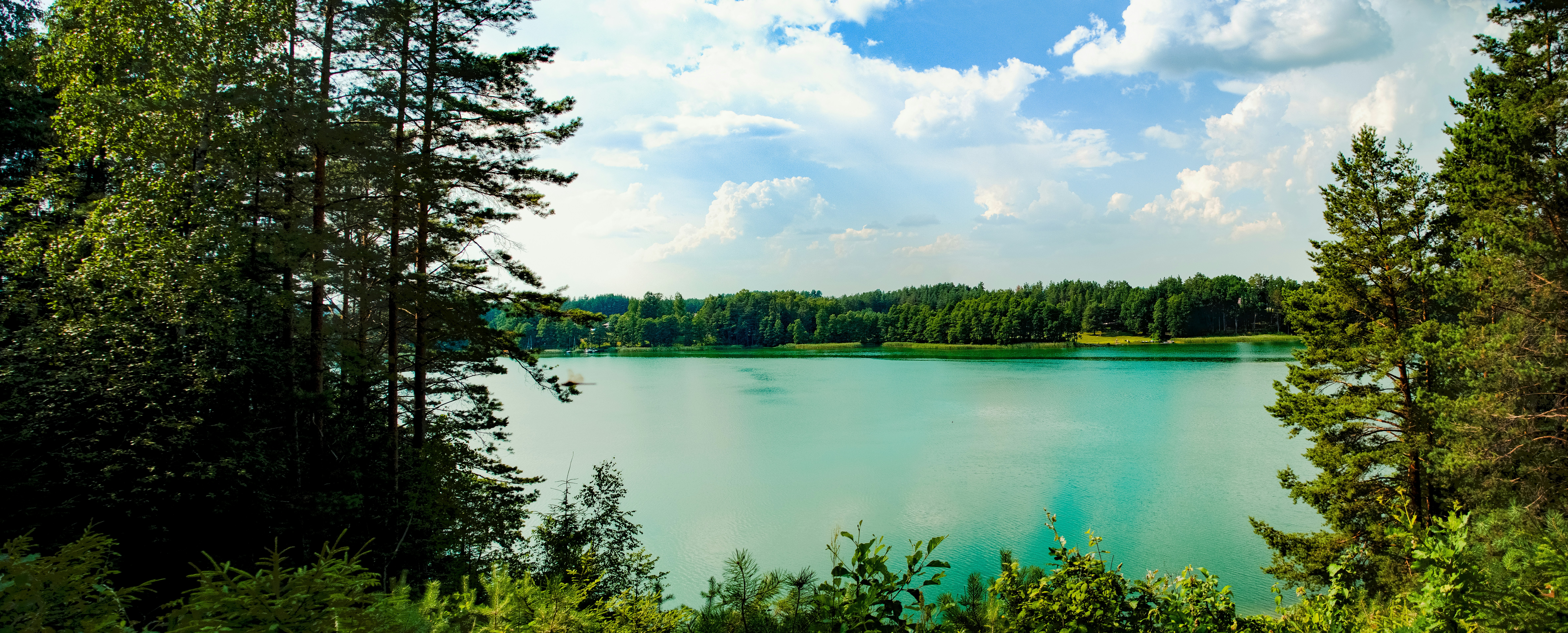 green trees beside lake under white clouds and blue sky during daytime