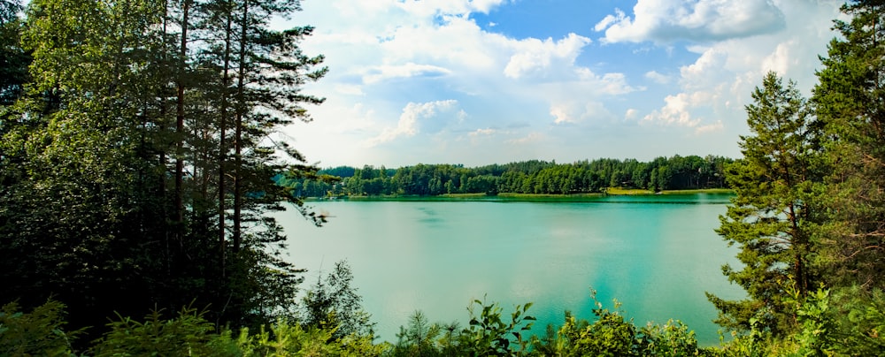 green trees beside lake under white clouds and blue sky during daytime