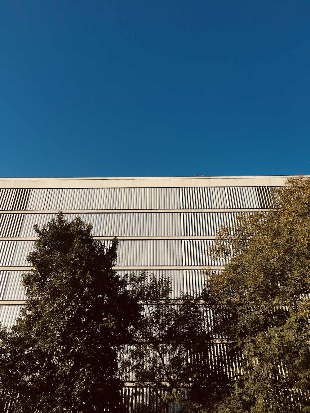 arbres verts à côté d’un bâtiment blanc pendant la journée