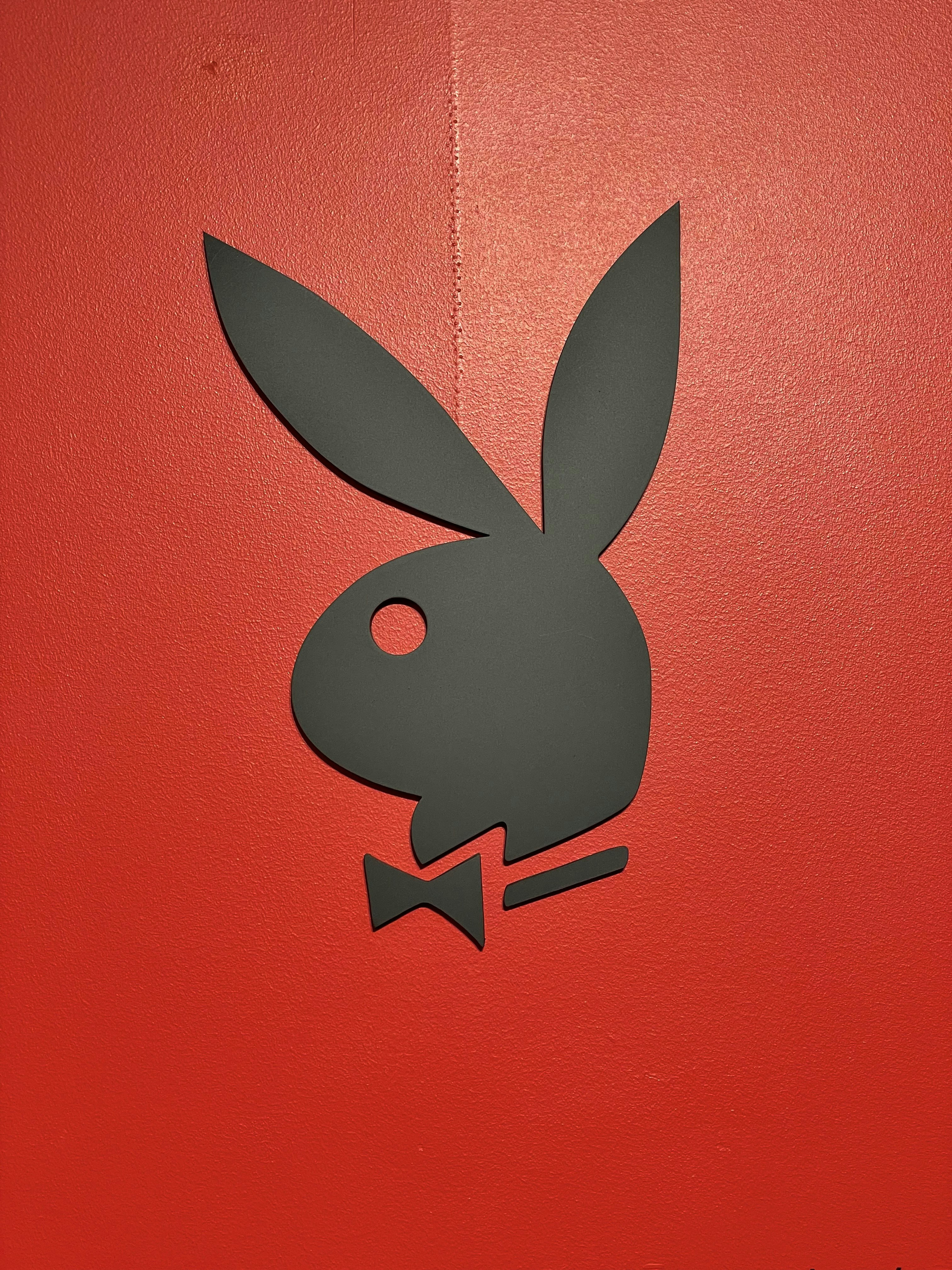 紅白うさぎのイラストの写真 Unsplashで見つけるシンボルの無料写真