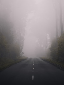 Une route avec de la brume