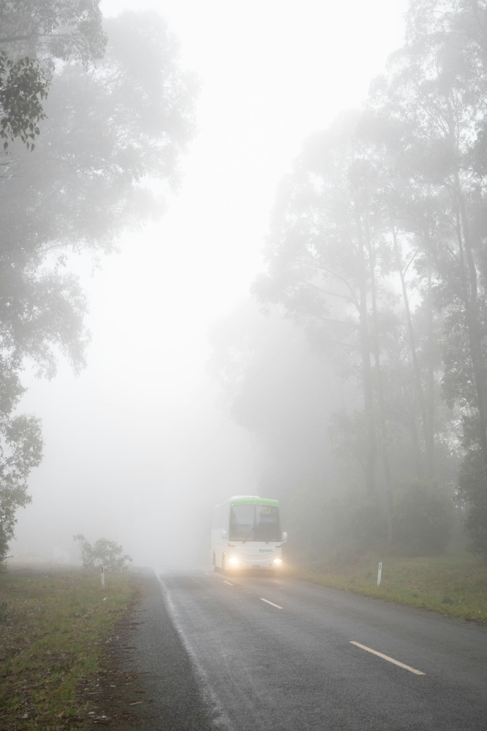 white van on road during foggy weather