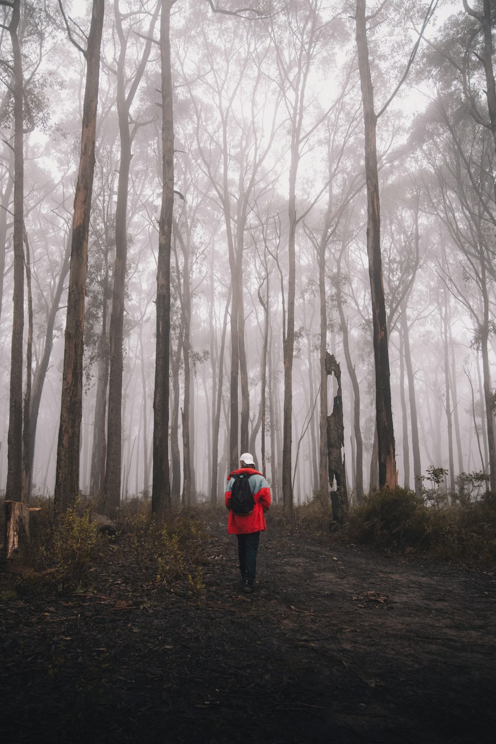 person in red jacket and black pants standing in the middle of the forest