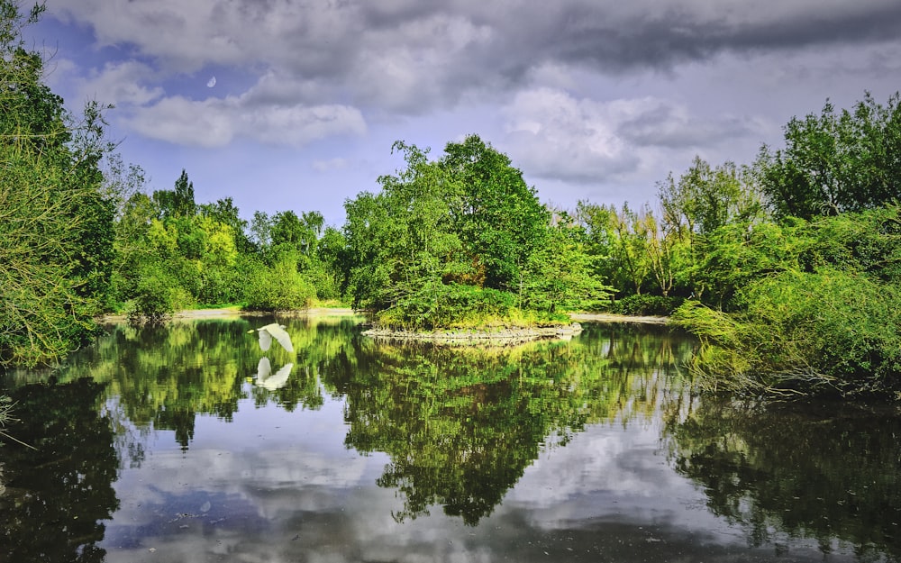 Grüne Bäume am Fluss unter blauem Himmel während des Tages