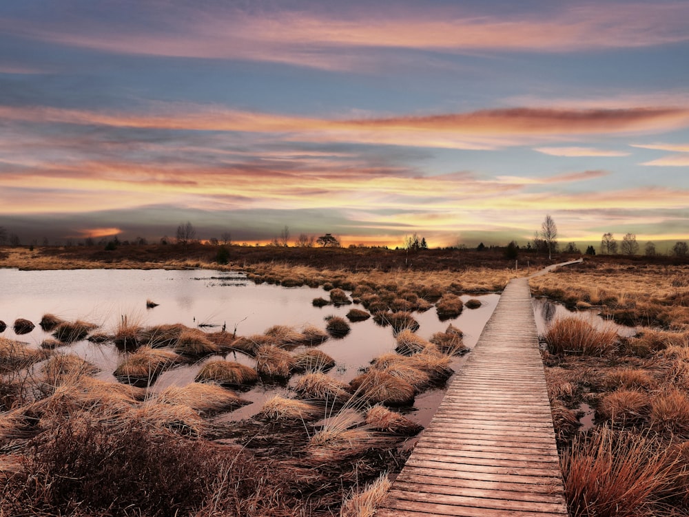 brown wooden dock on river during sunset