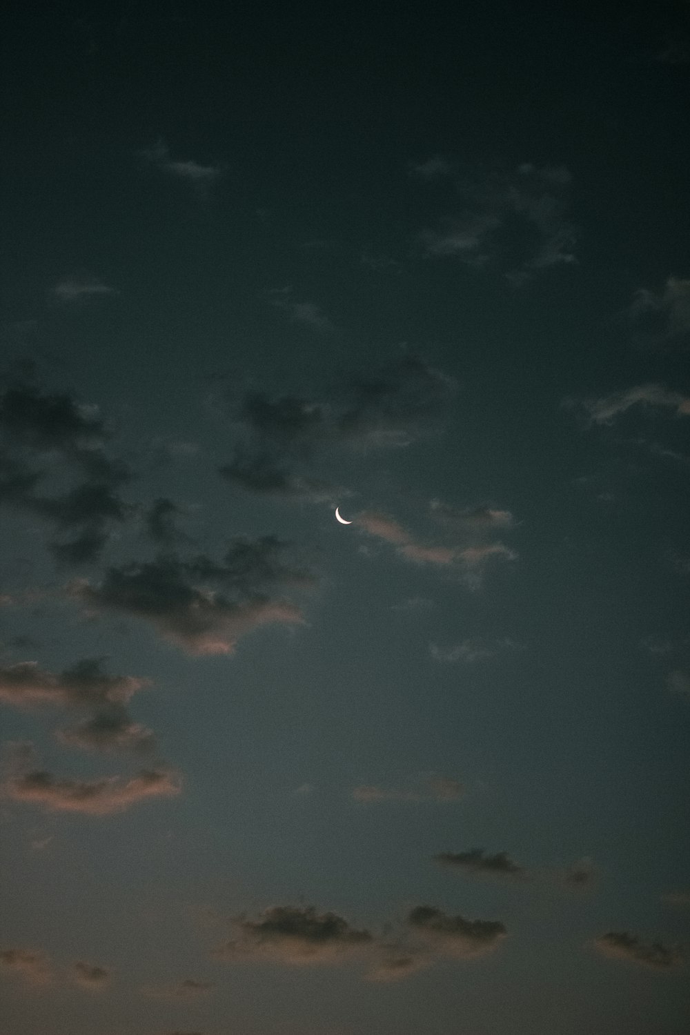 pássaro preto voando sob o céu nublado durante o dia