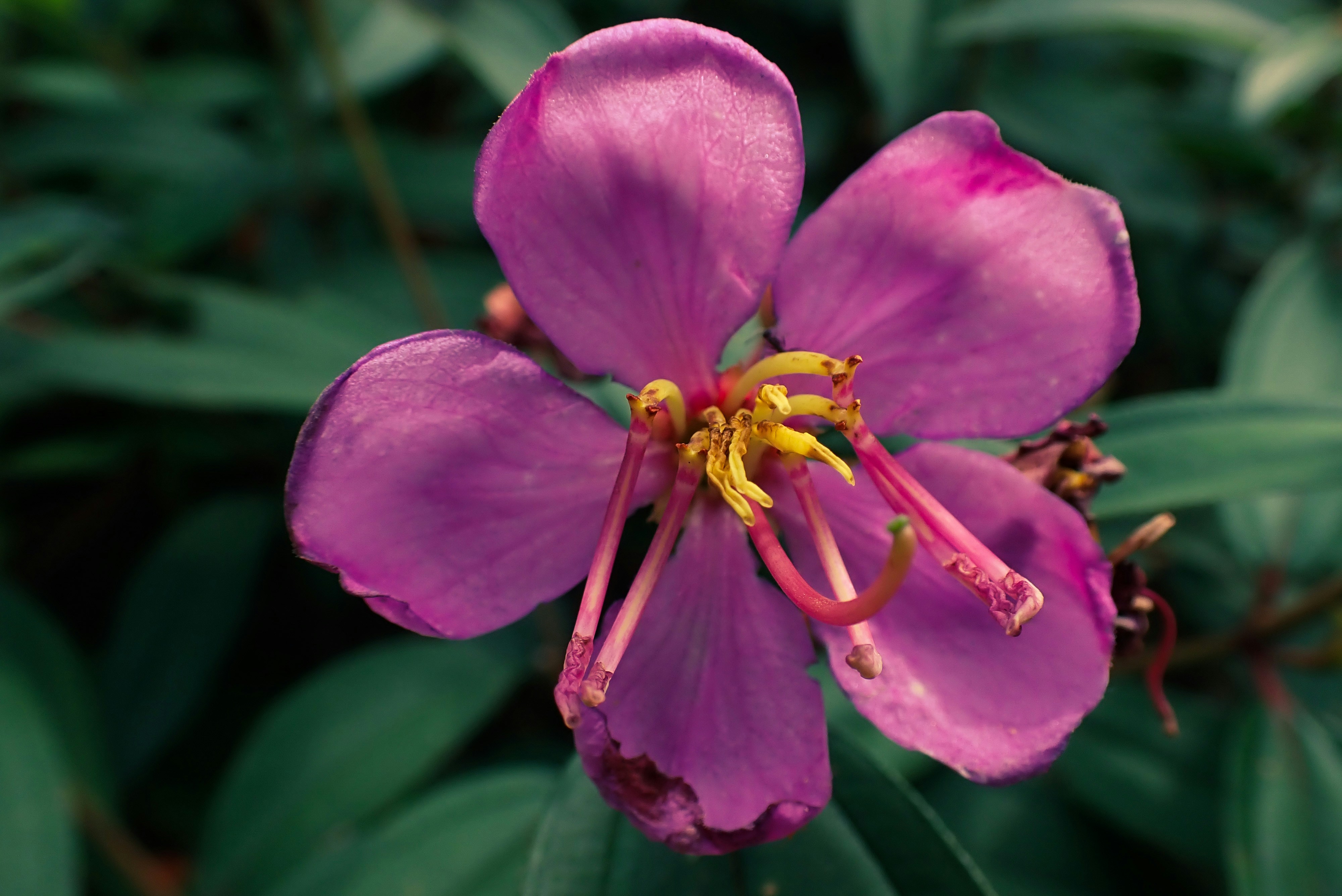 Photo by alishahlakhani