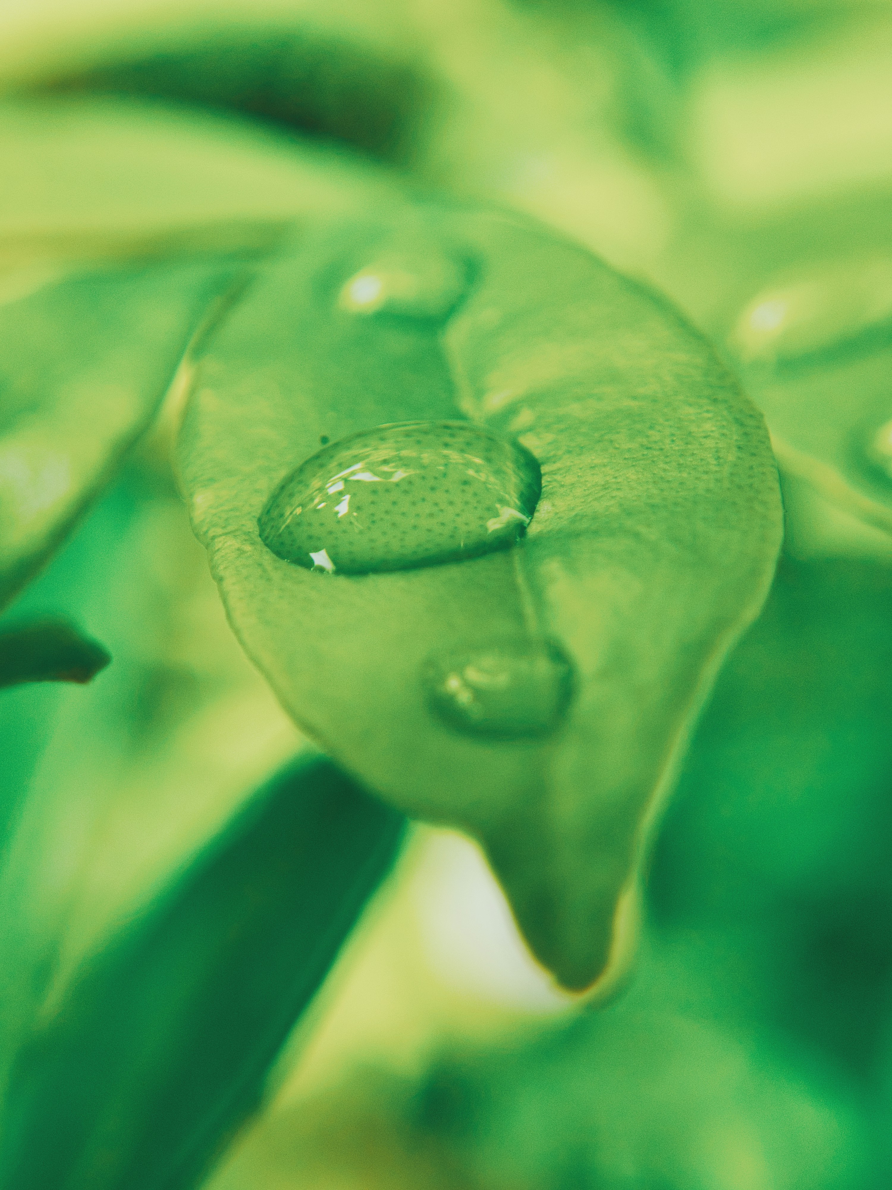 Photo by alishahlakhani