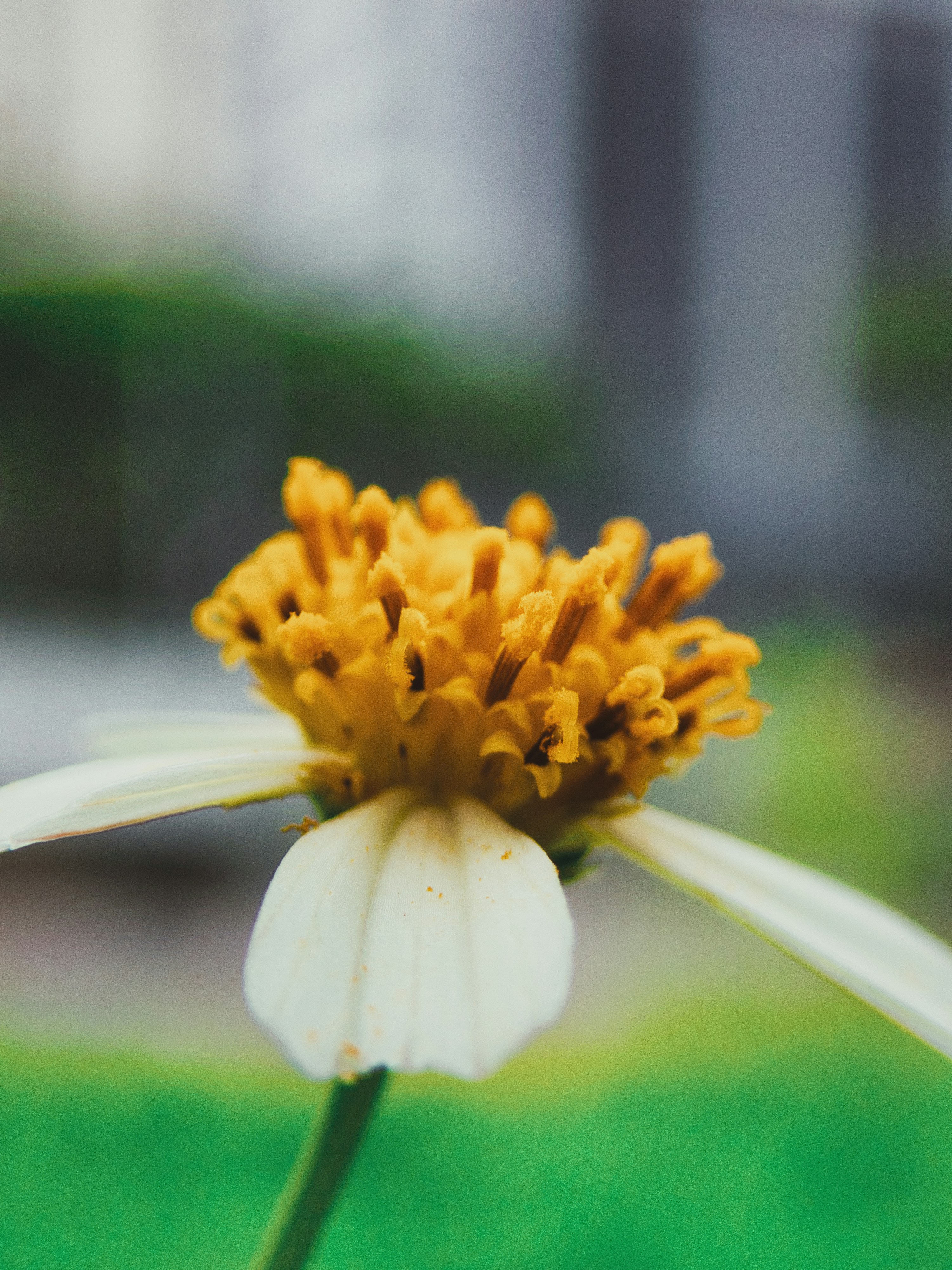 Photo by alishahlakhani