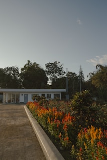 A pathway leads towards a small, modern white building surrounded by lush greenery. Vibrant red and orange flowers line the path, adding a burst of color to the serene scene. Tall trees stand in the background under a clear blue sky.