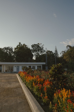 A pathway leads towards a small, modern white building surrounded by lush greenery. Vibrant red and orange flowers line the path, adding a burst of color to the serene scene. Tall trees stand in the background under a clear blue sky.