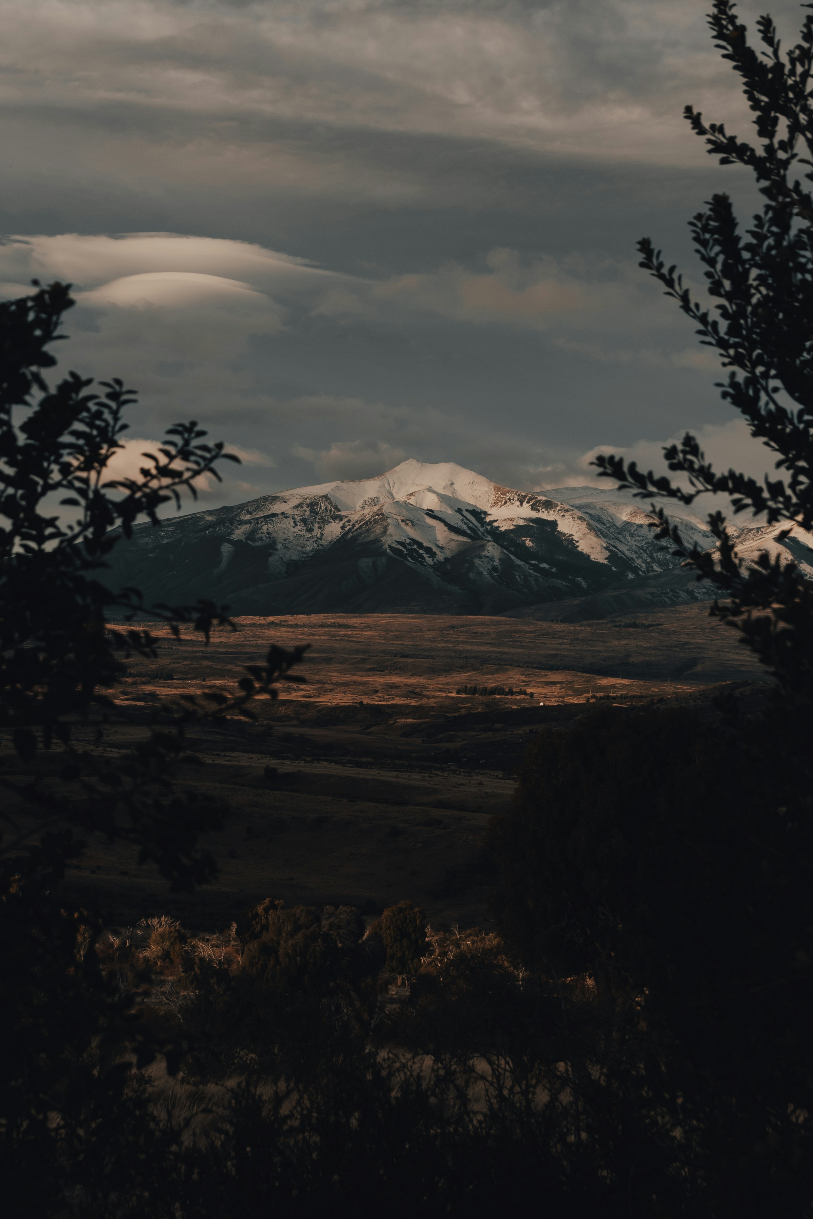 Photo by gasparzaldo