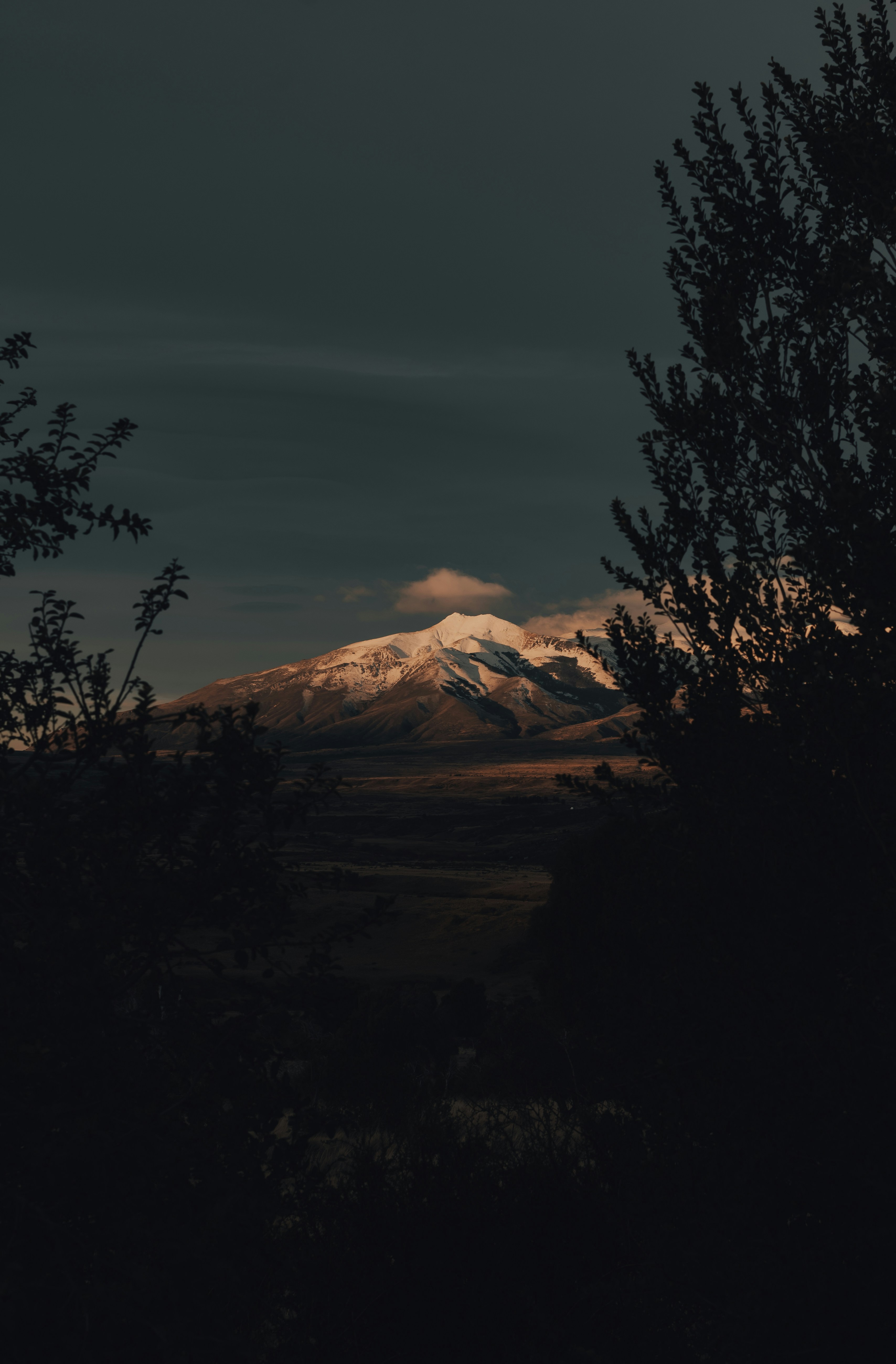 Photo by gasparzaldo