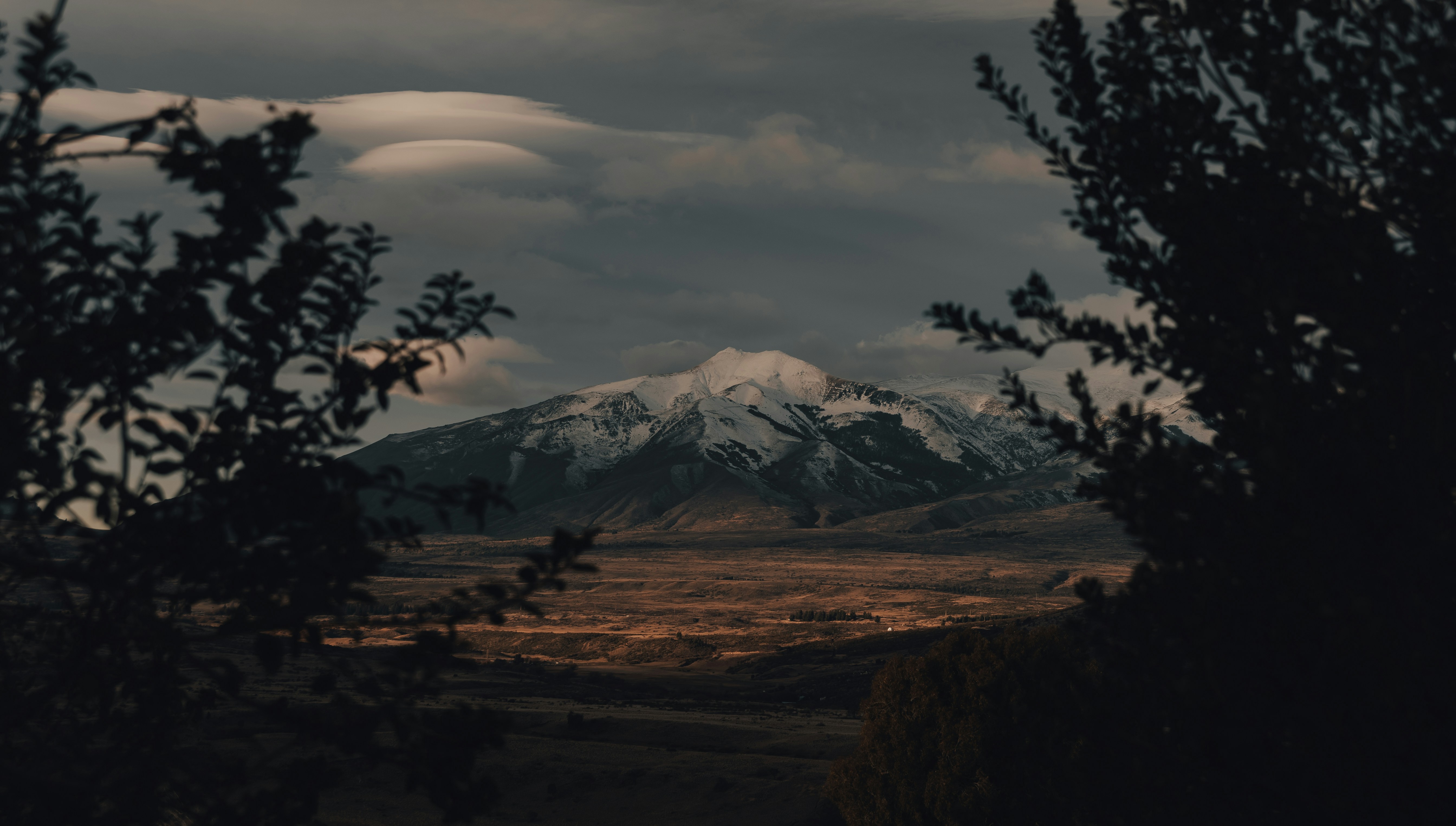 Photo by gasparzaldo