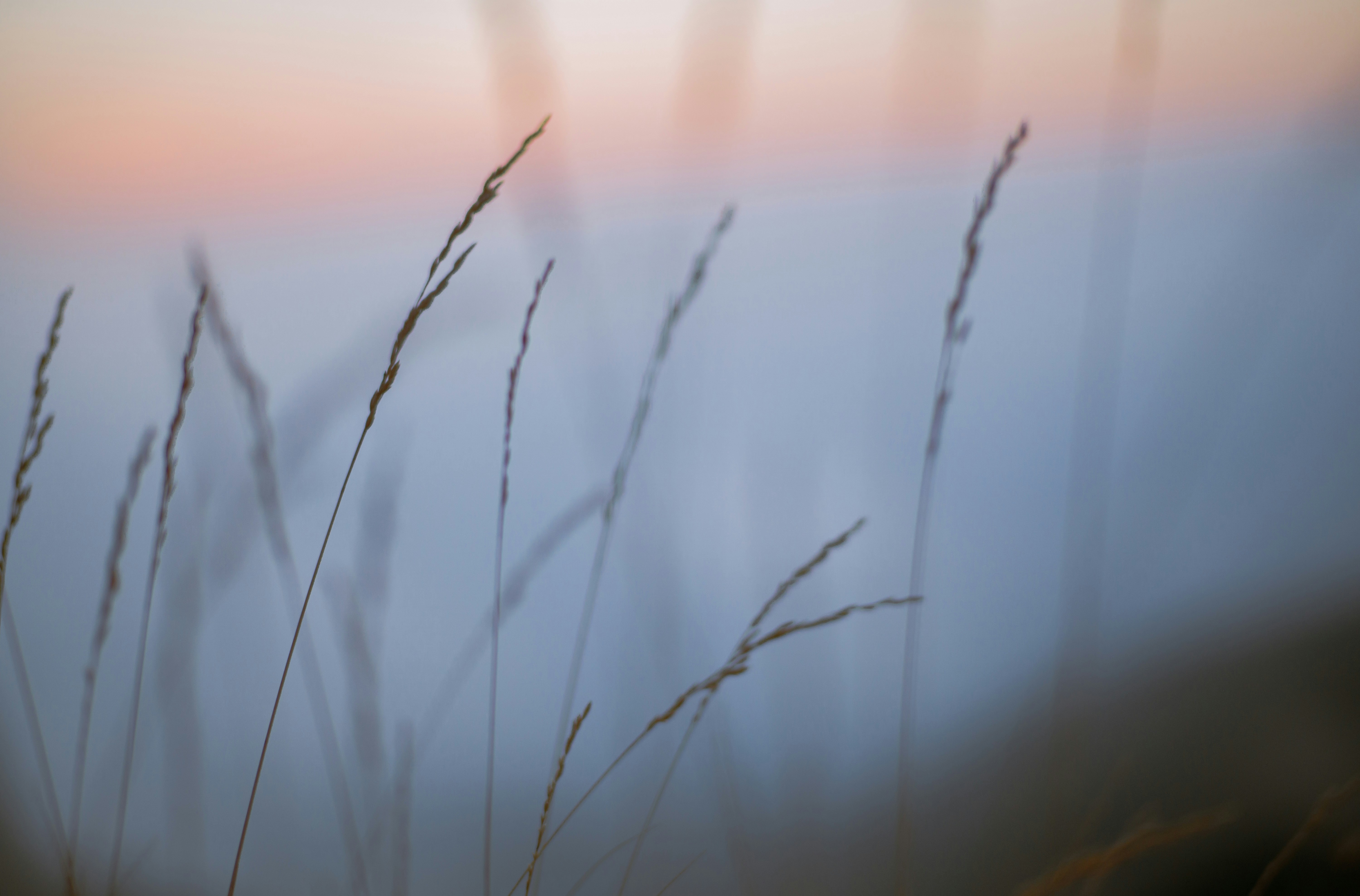 Photo by fethibenattallah