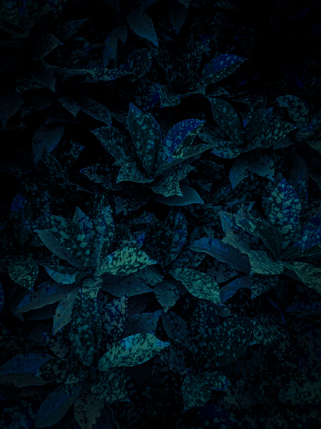 blue leaves in close up photography