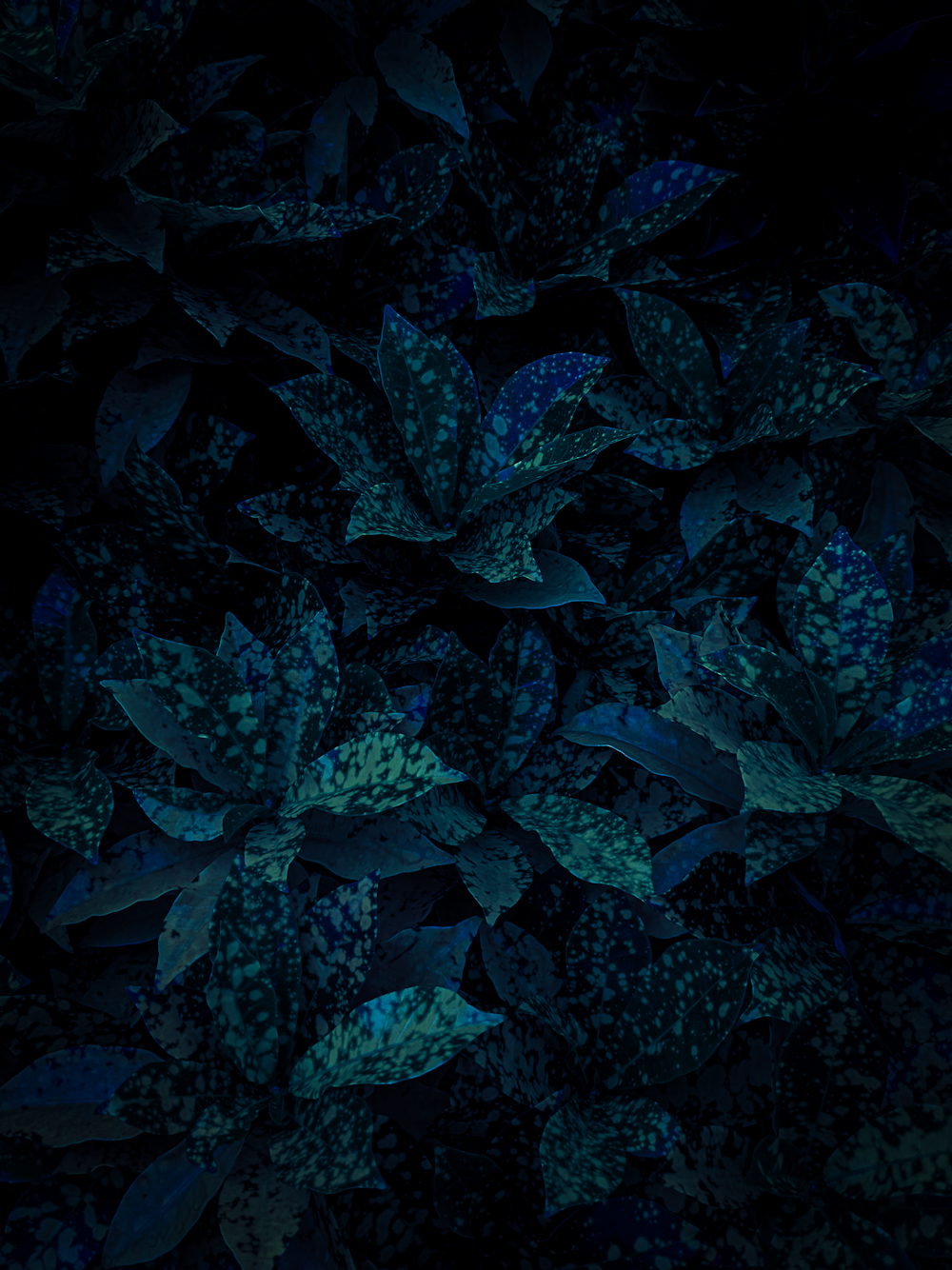 blue leaves in close up photography
