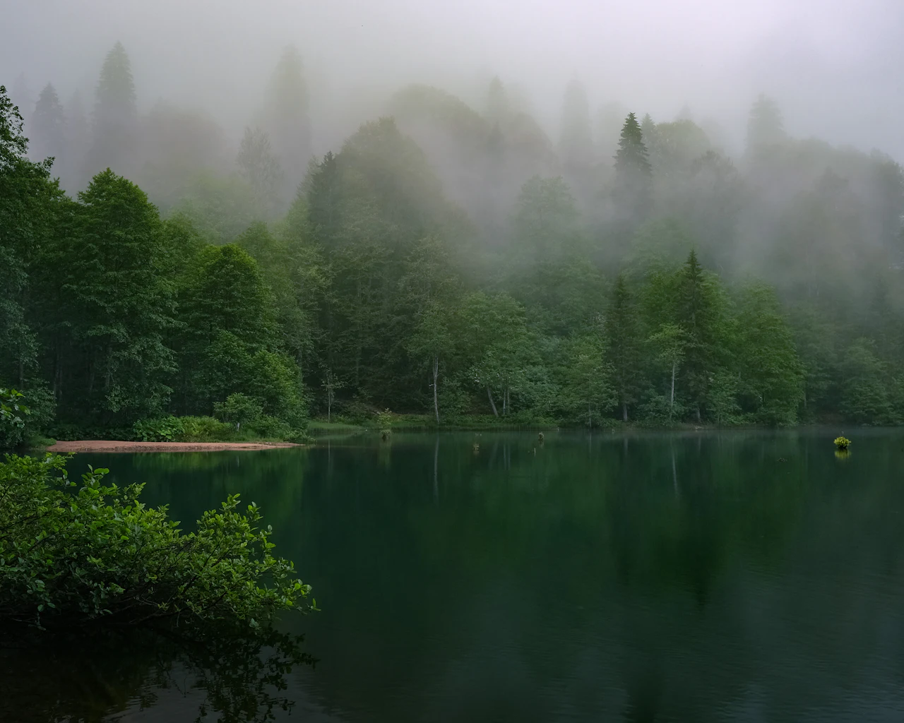 Karagöl lake in mist, Artvin