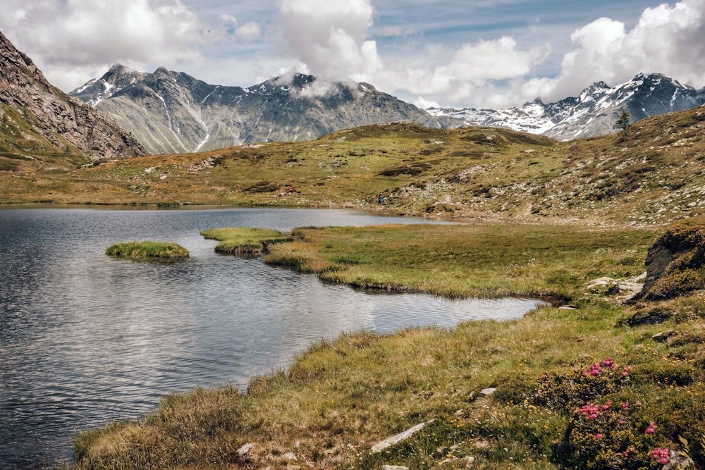 Grünes Grasfeld in der Nähe von See und Bergen unter weißen Wolken und blauem Himmel tagsüber